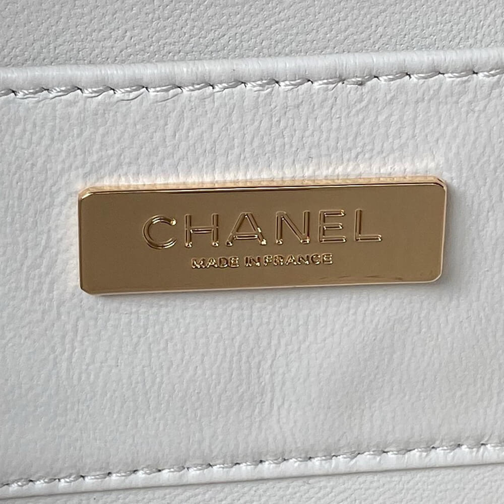 CHANEL CAMERA BAG