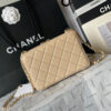 CHANEL CAMERA BAG