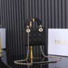 Mini Lady Dior Bag