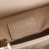Mini Lady Dior Bag