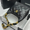 CHANEL SMALL HOBO BAG