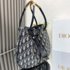 Medium Dior Nolita Bag