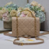 16911-4 Medium Dior Ange Bag