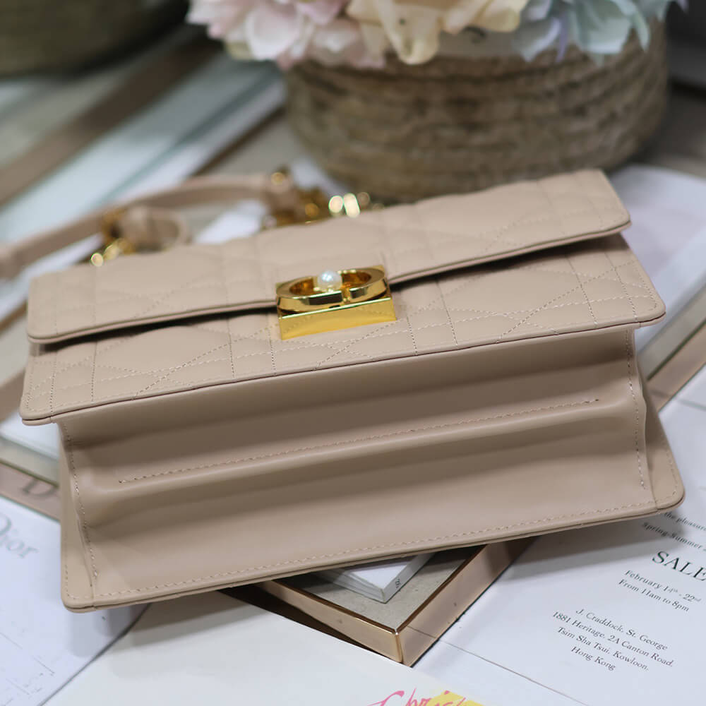 16911-6 Medium Dior Ange Bag