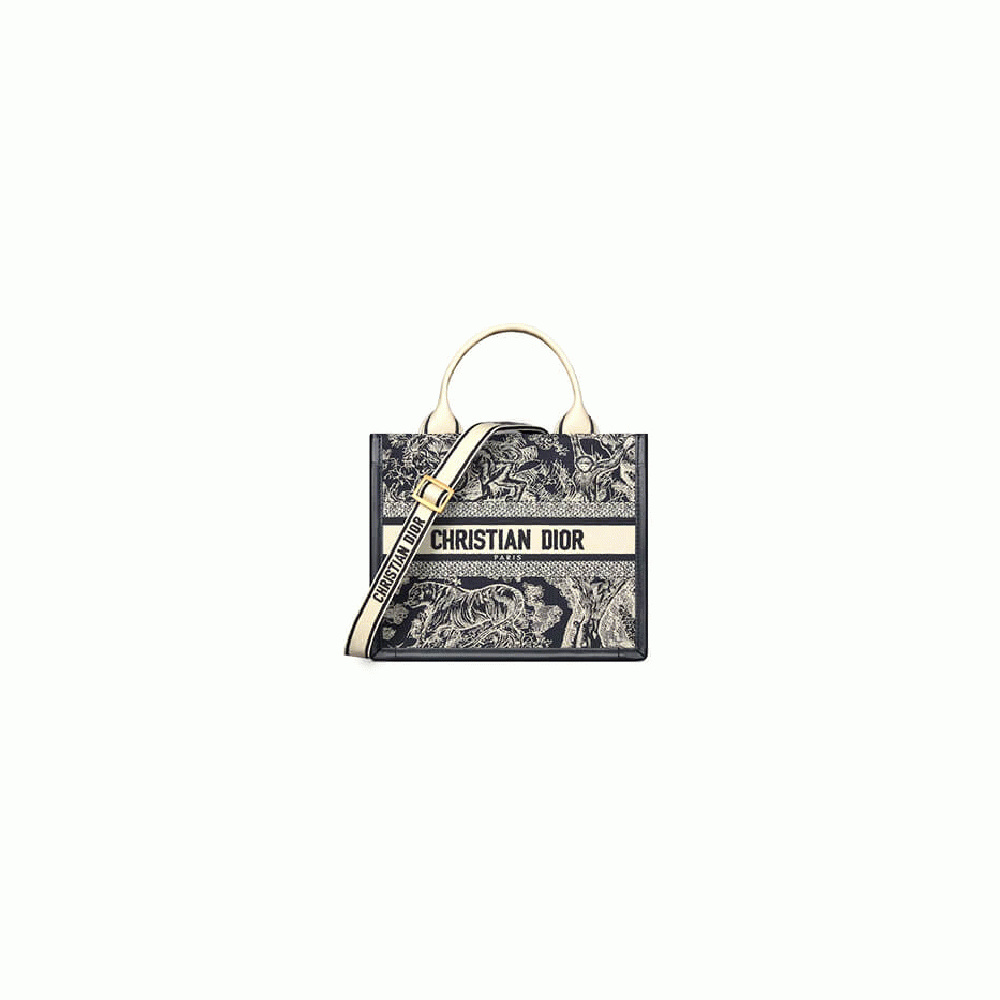 Small Dior Book Tote
