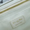 Dioramour Medium Dior Book Tote