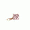 17124-1 CHANEL Clutch With Chain(high-end grade)