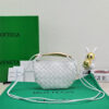 Bottega Veneta Mini Sardine