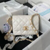 17219-2 CHANEL MINI FLAP