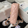 17220-5 CHANEL MINI FLAP
