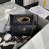 17254-2 CHANEL Clutch