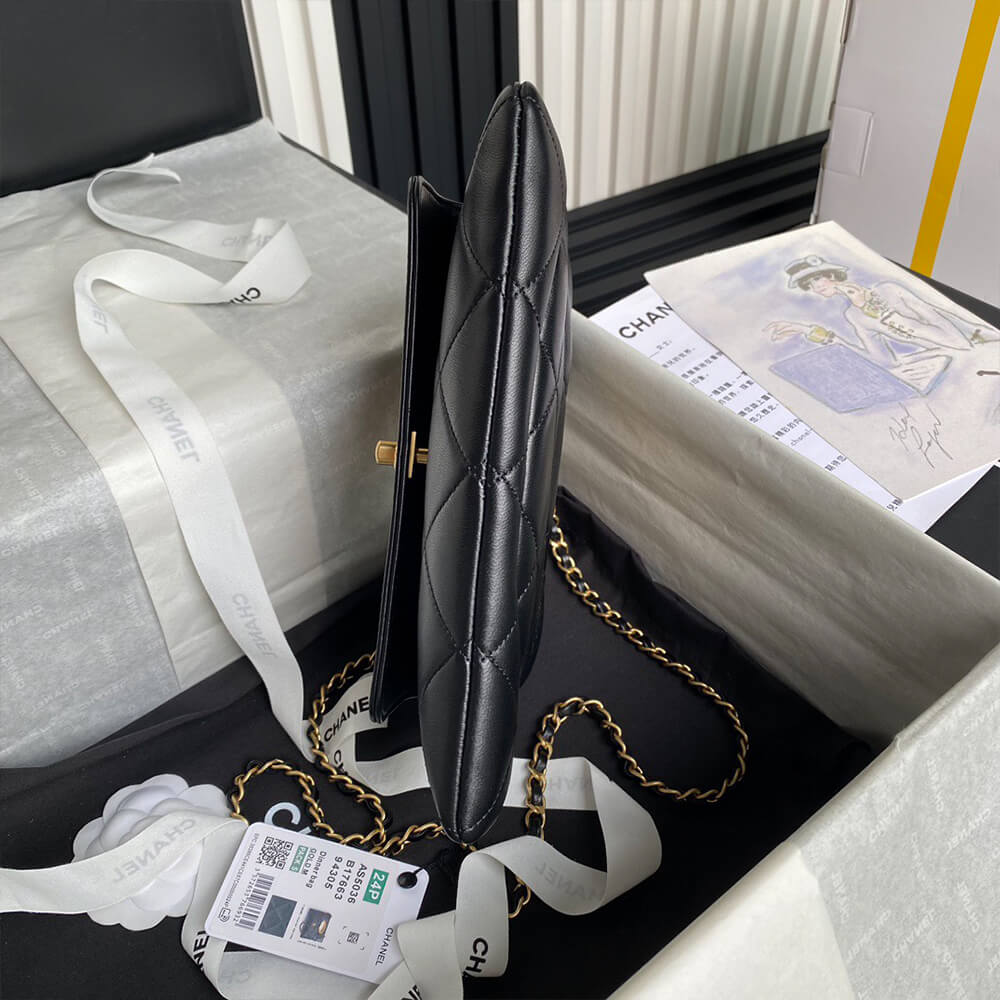 17254-4 CHANEL Clutch