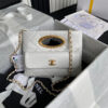 17256-2 CHANEL Clutch