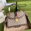 Gucci Ophidia small top handle bag