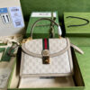 17307-2 Gucci Ophidia small top handle bag