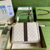 17307-3 Gucci Ophidia small top handle bag