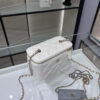 Chanel VANITY WITH CHAIN(HIGH-END GRADE)