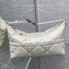 Diorstar Hobo Bag with Chain