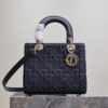 17405-2 Medium Lady Dior Bag
