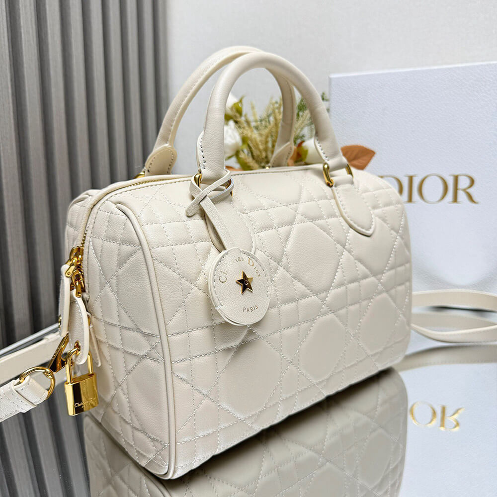 Dior Groove 25 Bag(high-end grade)