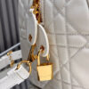 Dior Groove 25 Bag(high-end grade)