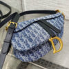 Dior Saddle Bag with Strap