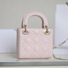 Mini Lady Dior Bag(HIGH-END GRADE)