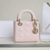 Mini Lady Dior Bag(HIGH-END GRADE)