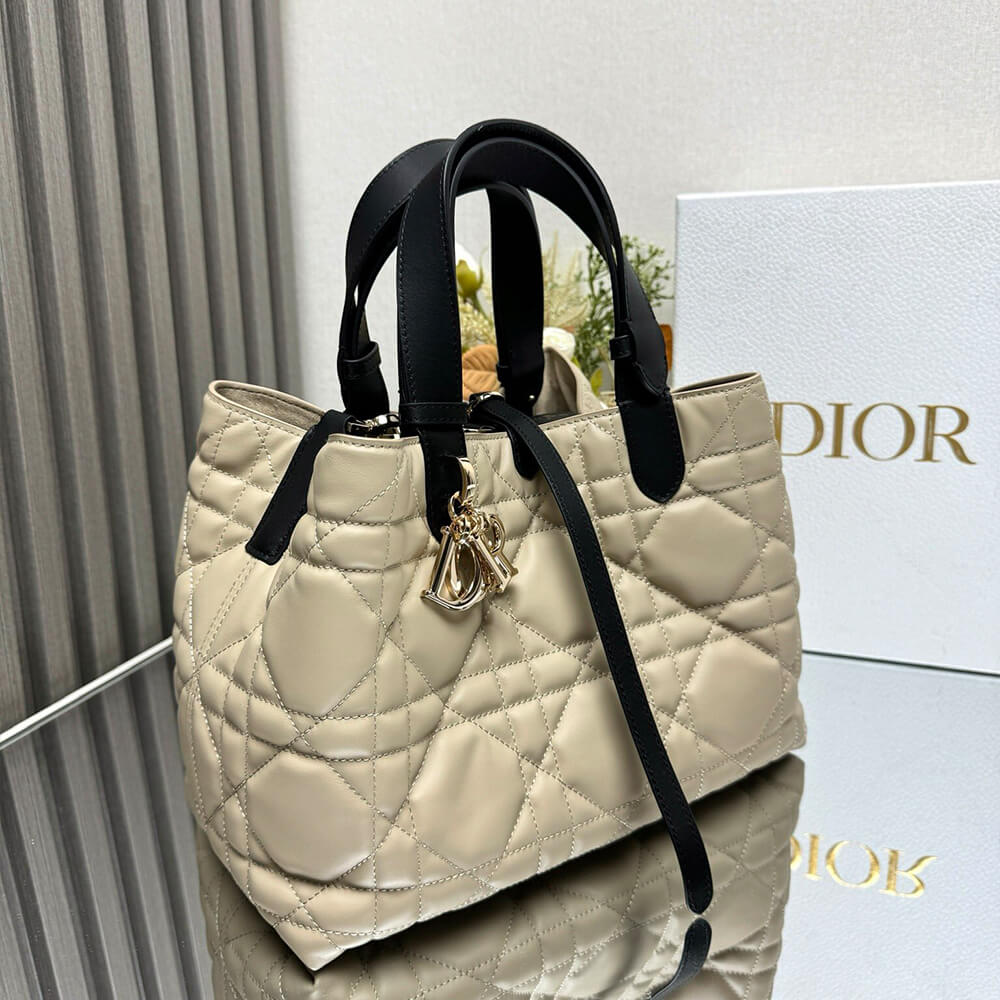17610-3 Medium Dior Toujours Bag
