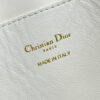 Dior Walk in Dior Purse
