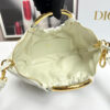 Dior Walk in Dior Purse