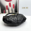 Dior Walk in Dior Purse