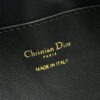 Dior Walk in Dior Purse