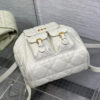 Medium Dior Caro Backpack