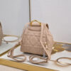 Small Dior Caro Backpack