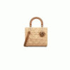 Medium Lady Dior Bag