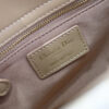 Medium Lady Dior Bag