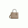 Medium Lady Dior Bag