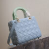 17623-4 Medium Lady Dior Bag