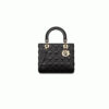 Medium Lady Dior Bag
