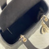 Medium Lady Dior Bag