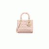 Medium Lady Dior Bag