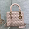 Medium Lady Dior Bag