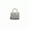 Medium Lady Dior Bag