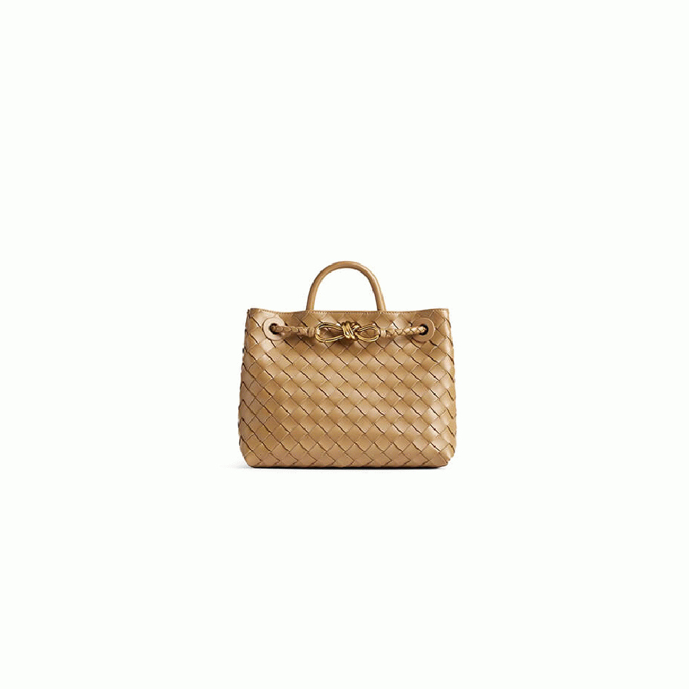 Bottega Veneta Small Andiamo