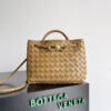 Bottega Veneta Small Andiamo