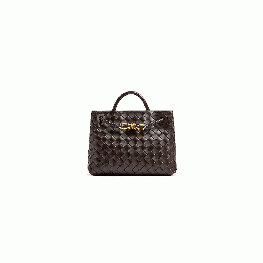 Bottega Veneta Small Andiamo