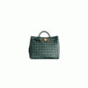 Bottega Veneta Small Andiamo