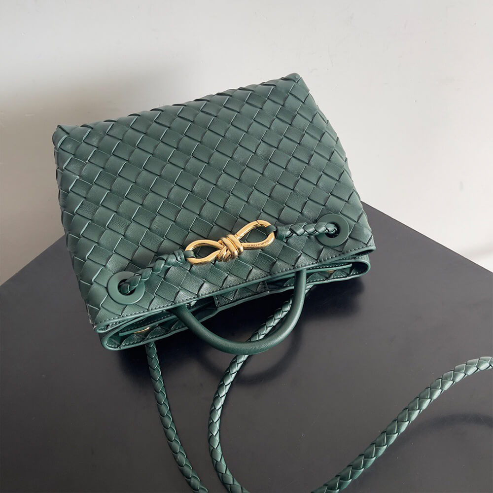 Bottega Veneta Small Andiamo