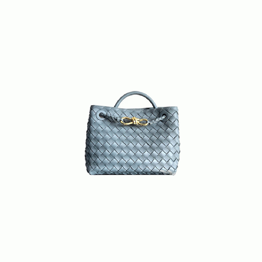 Bottega Veneta Small Andiamo